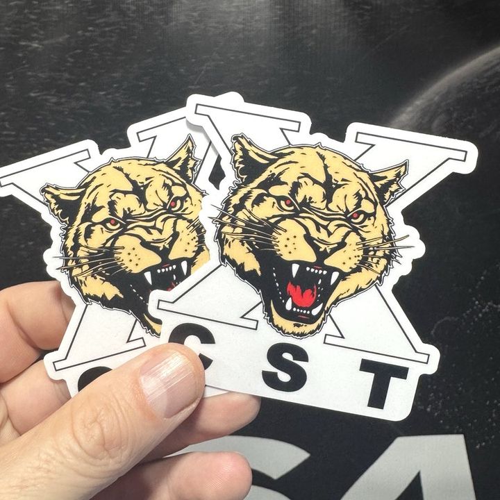 CST: Die-cut vinyl sticker